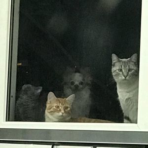 Meet your Posher, Deidre